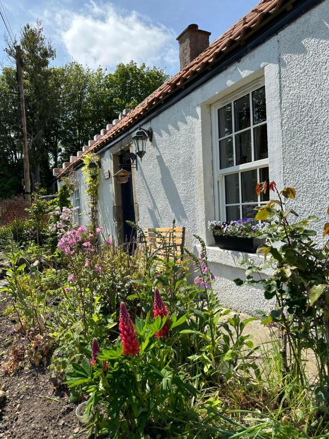 Borthwick Farm Cottage Annex Gorebridge Dış mekan fotoğraf